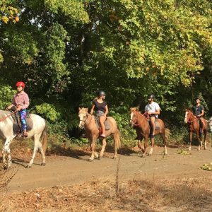 marmaris horse safari